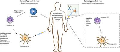 Tolerogenic Immunotherapy: Targeting DC Surface Receptors to Induce Antigen-Specific Tolerance